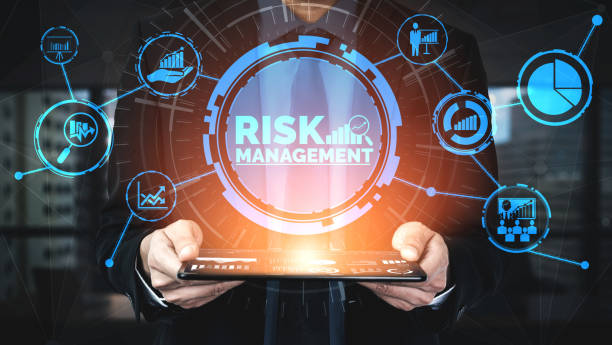 Financial Risk Management